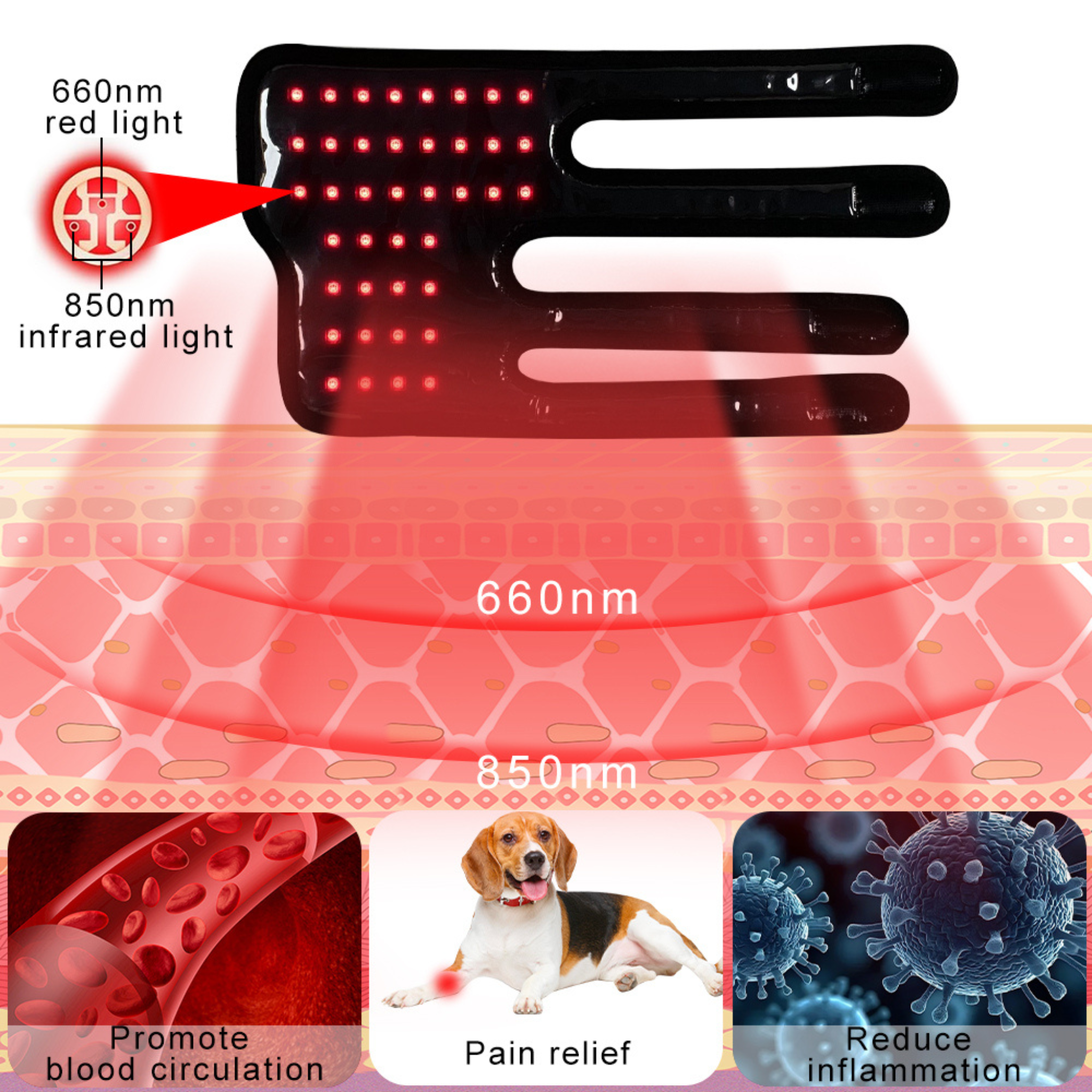 Pet Red Light Therapy Leg Wrap – Set of 2 (currently on back order)