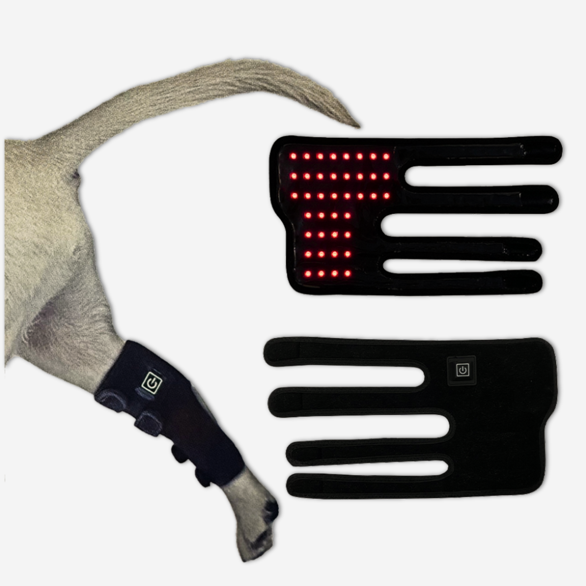 Pet Red Light Therapy Leg Wrap – Set of 2 (currently on back order)