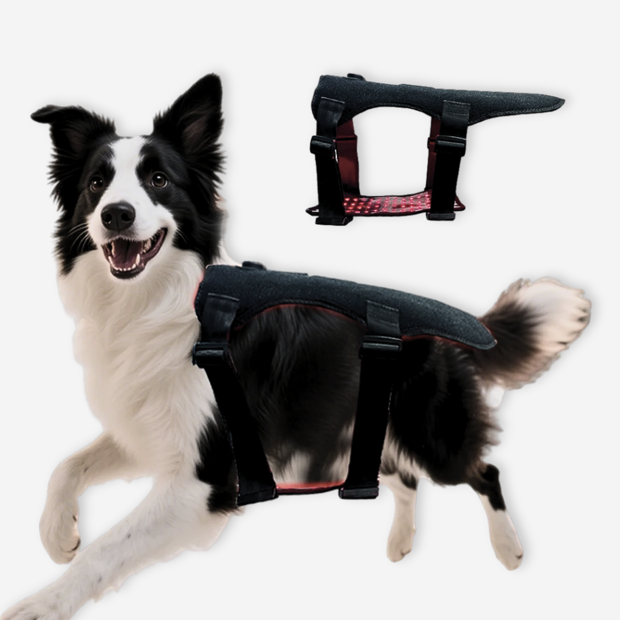 Pet Full Body Red Light Therapy Wrap