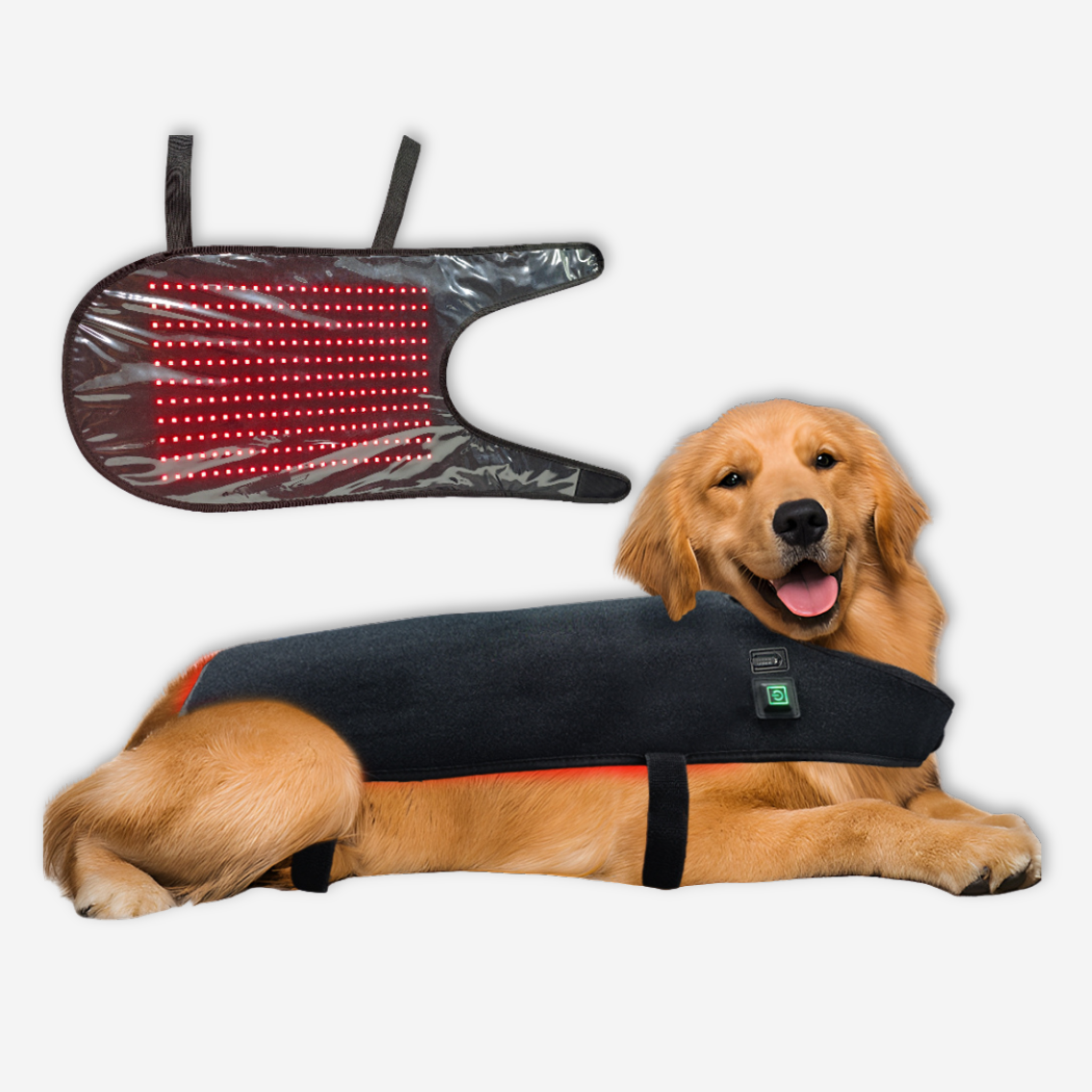 Red Therapy Systems | Pet Red Therapy Wrap