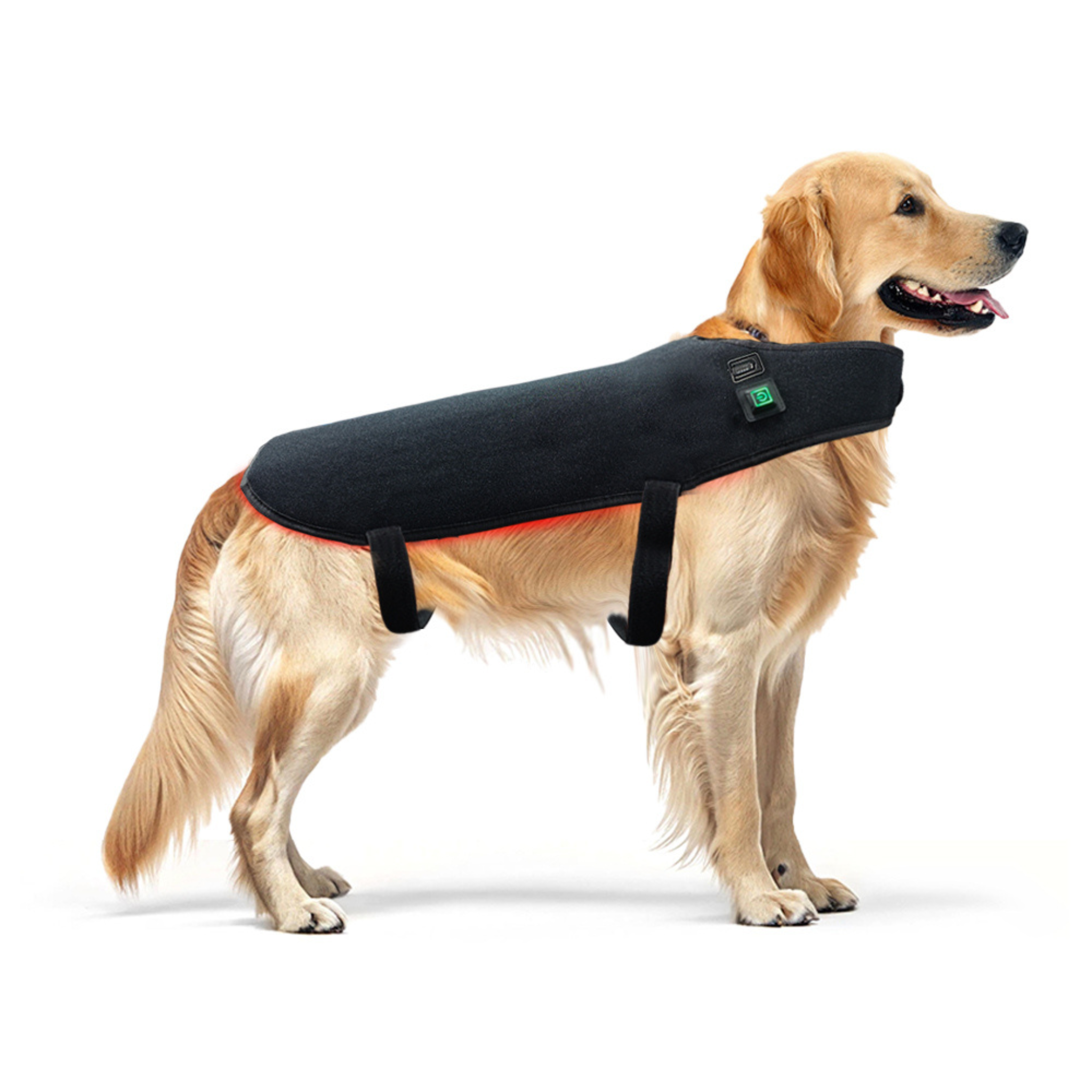 Pet Red Light Therapy Wrap