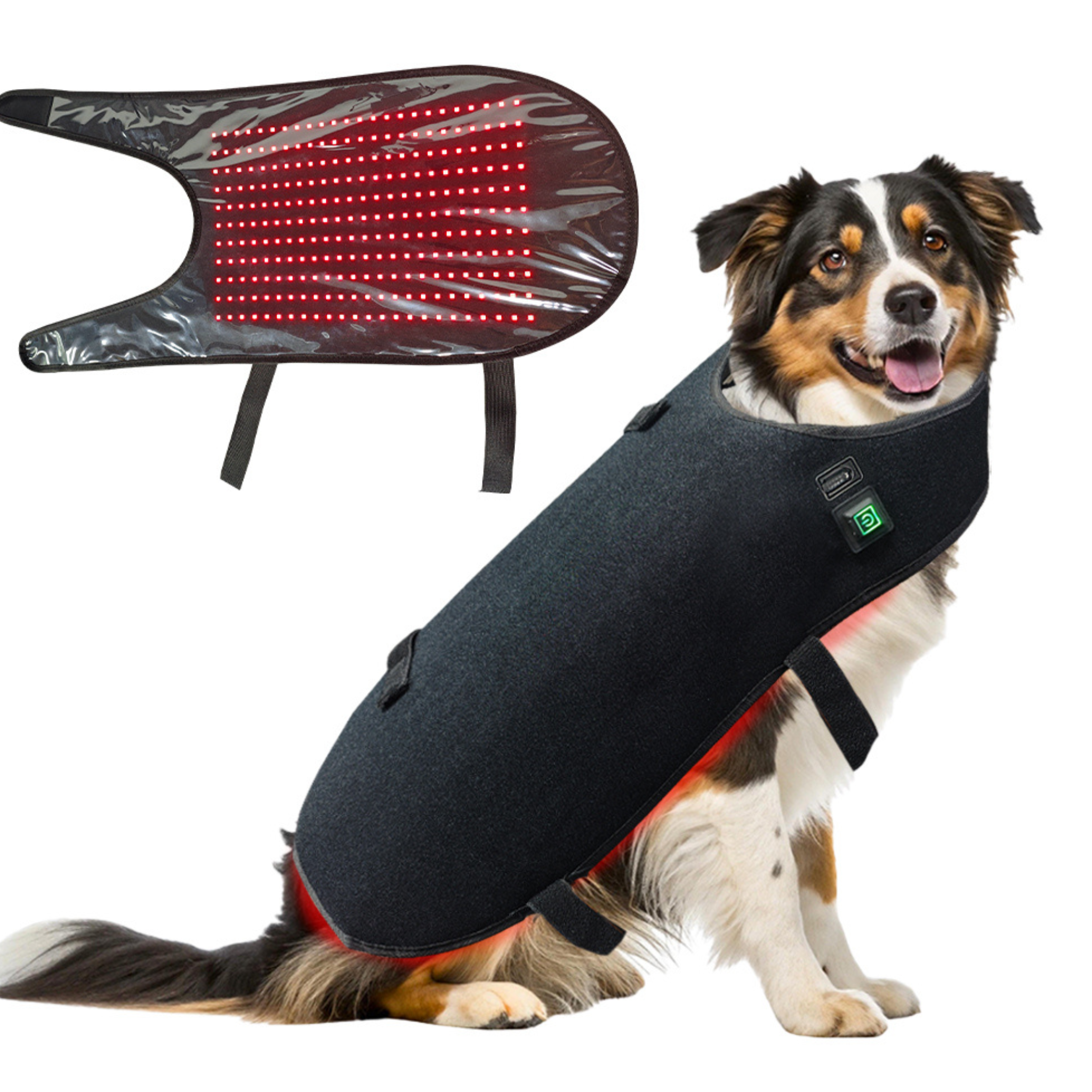 Pet Red Light Therapy Wrap