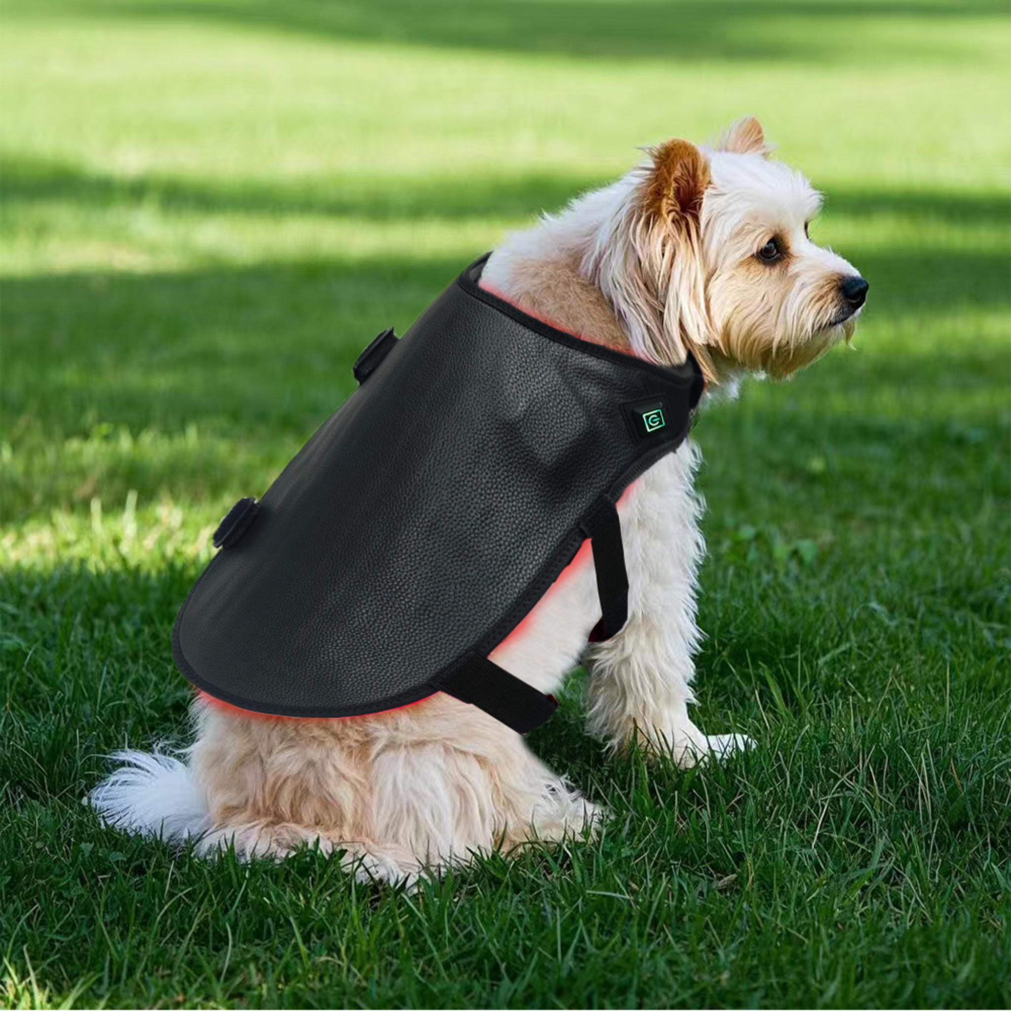 Pet Red Light Therapy Wrap