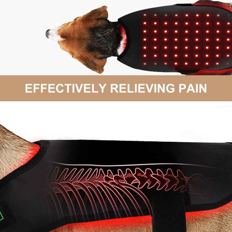 Pet Red Light & Infrared Therapy Device
