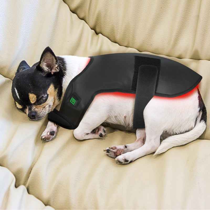Pet Red Light & Infrared Therapy Device