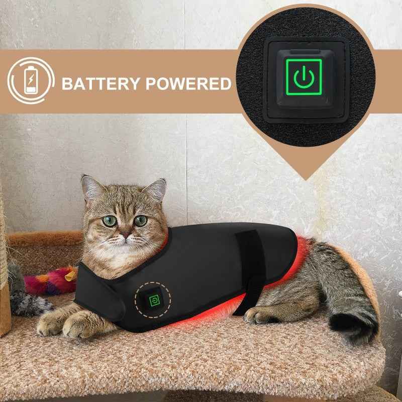 Pet Red Light & Infrared Therapy Device