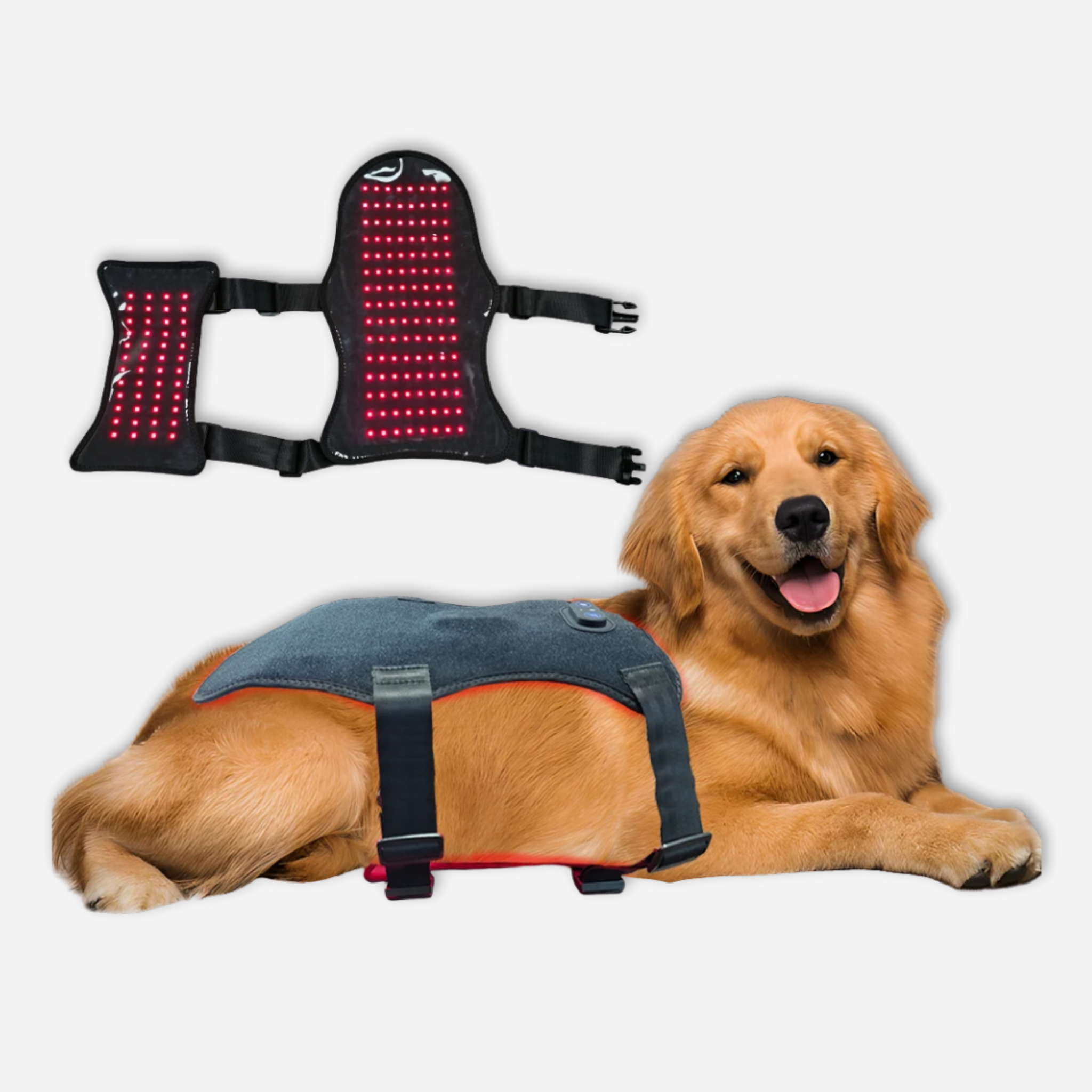 Pet Full Body Red Light Therapy Wrap