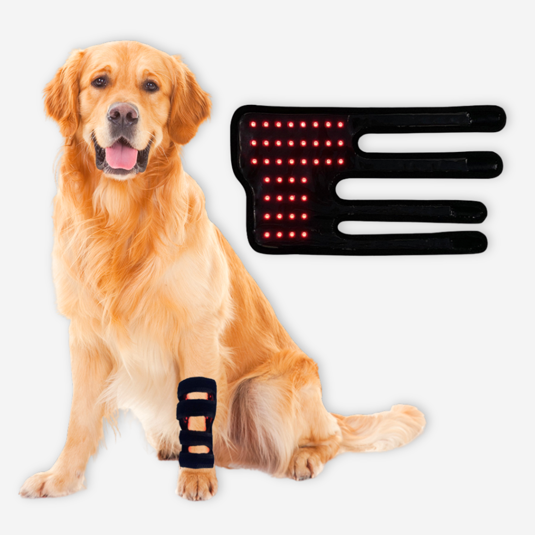 Red Therapy Systems | Pet Red Therapy Leg Wrap - Set of 2