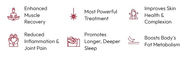 Renew Red Light | The Max Panel — Full Body Red Light Therapy
