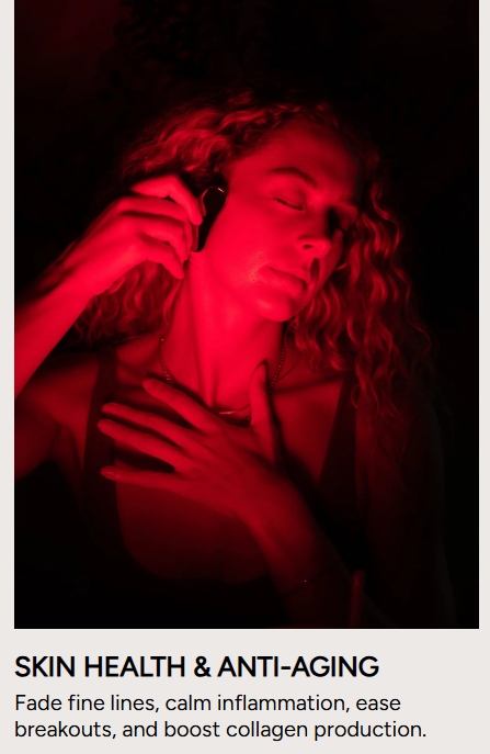 Renew Red Light | The Panorama Panel